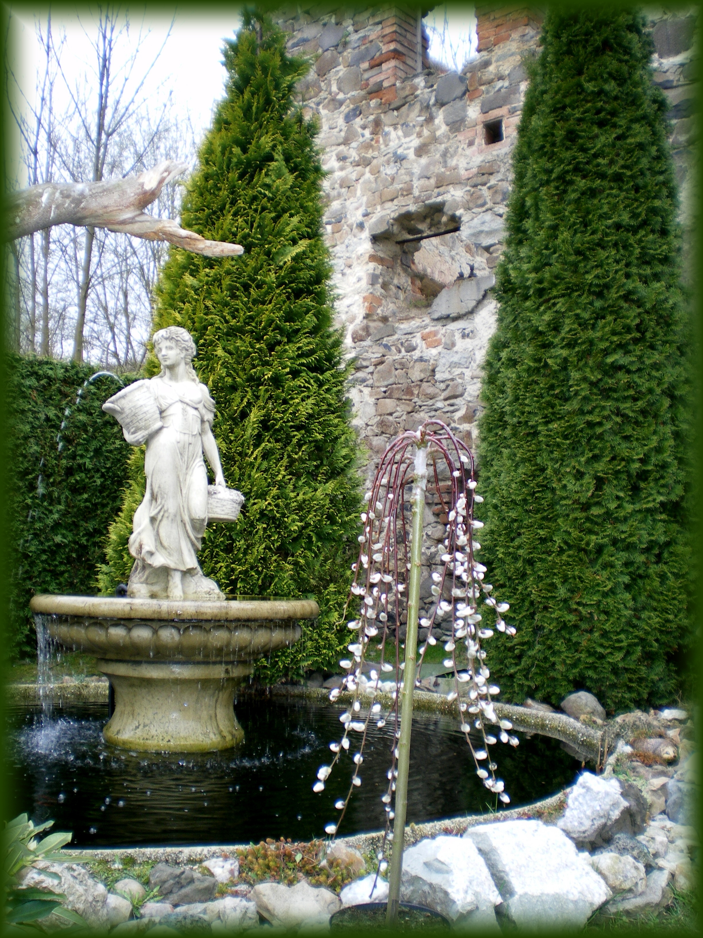 IMGP0240