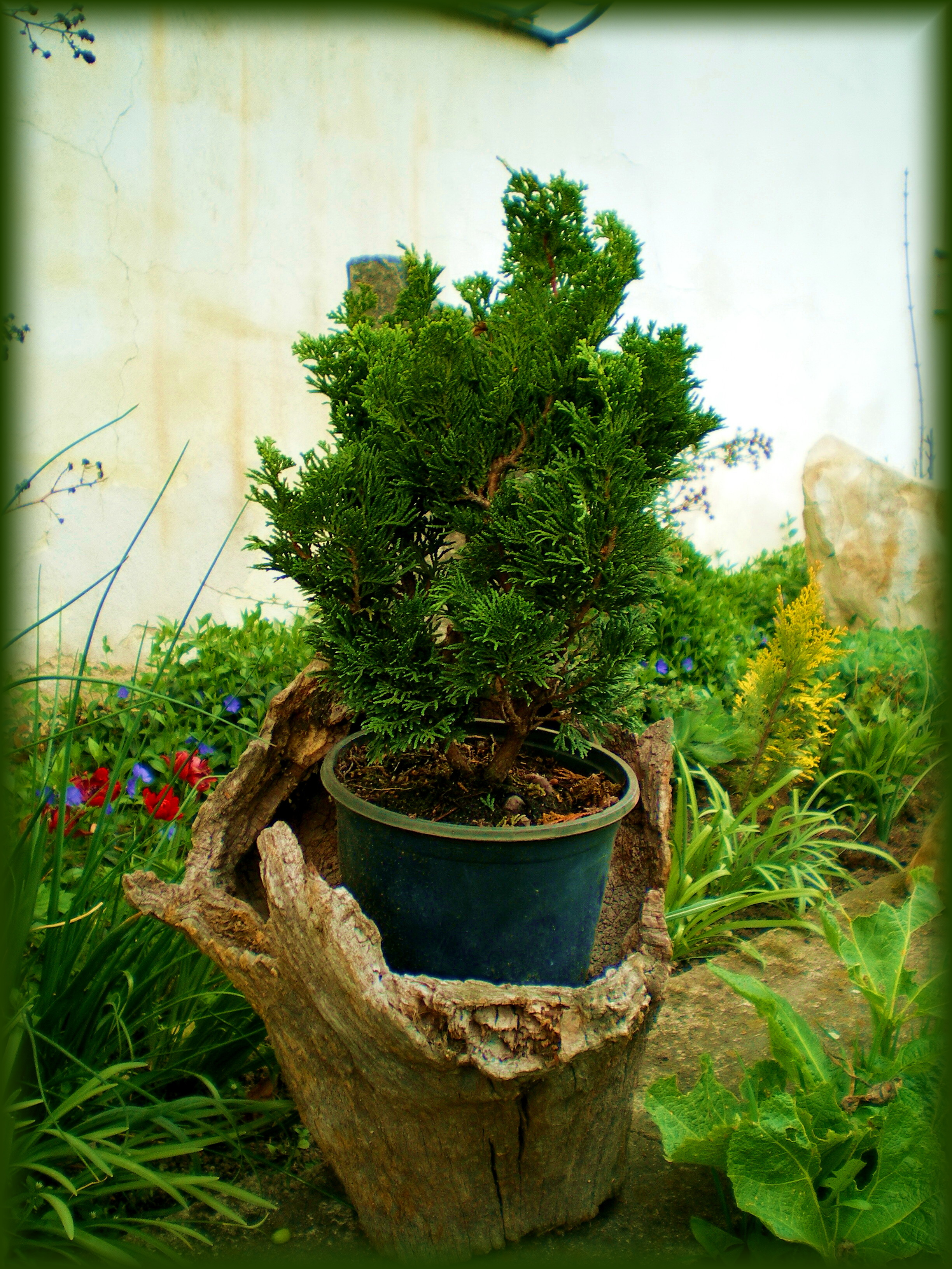 IMGP0564